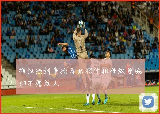 维拉热刺争抢马尔穆什租借权曼城却不愿放人