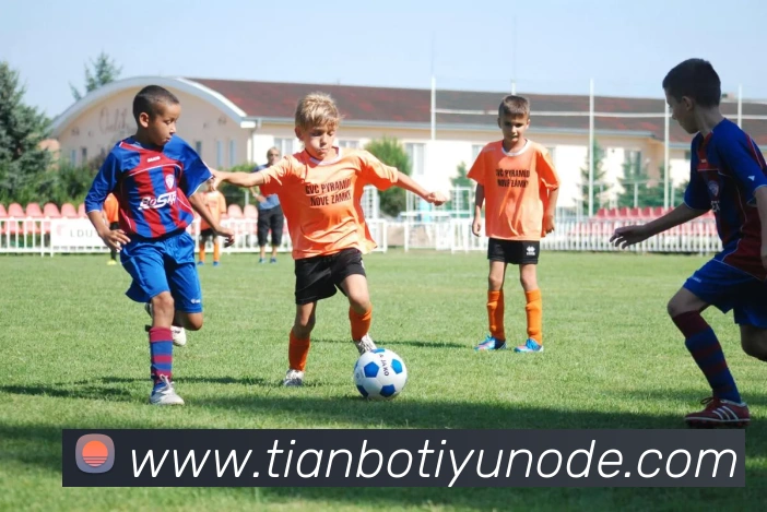 天博体育平台生态图