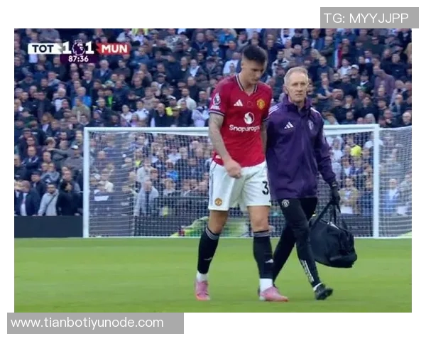 斯洛文尼亚足协回应舍什科伤情争议与曼联的沟通结果 斯洛文尼亚足协回应舍什科伤情争议与曼联的沟通结果